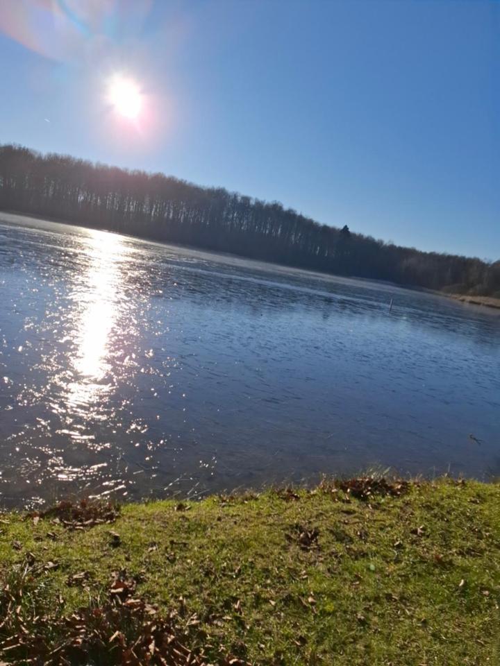 Hochwald Appartement Bad Sachsa Eksteriør billede