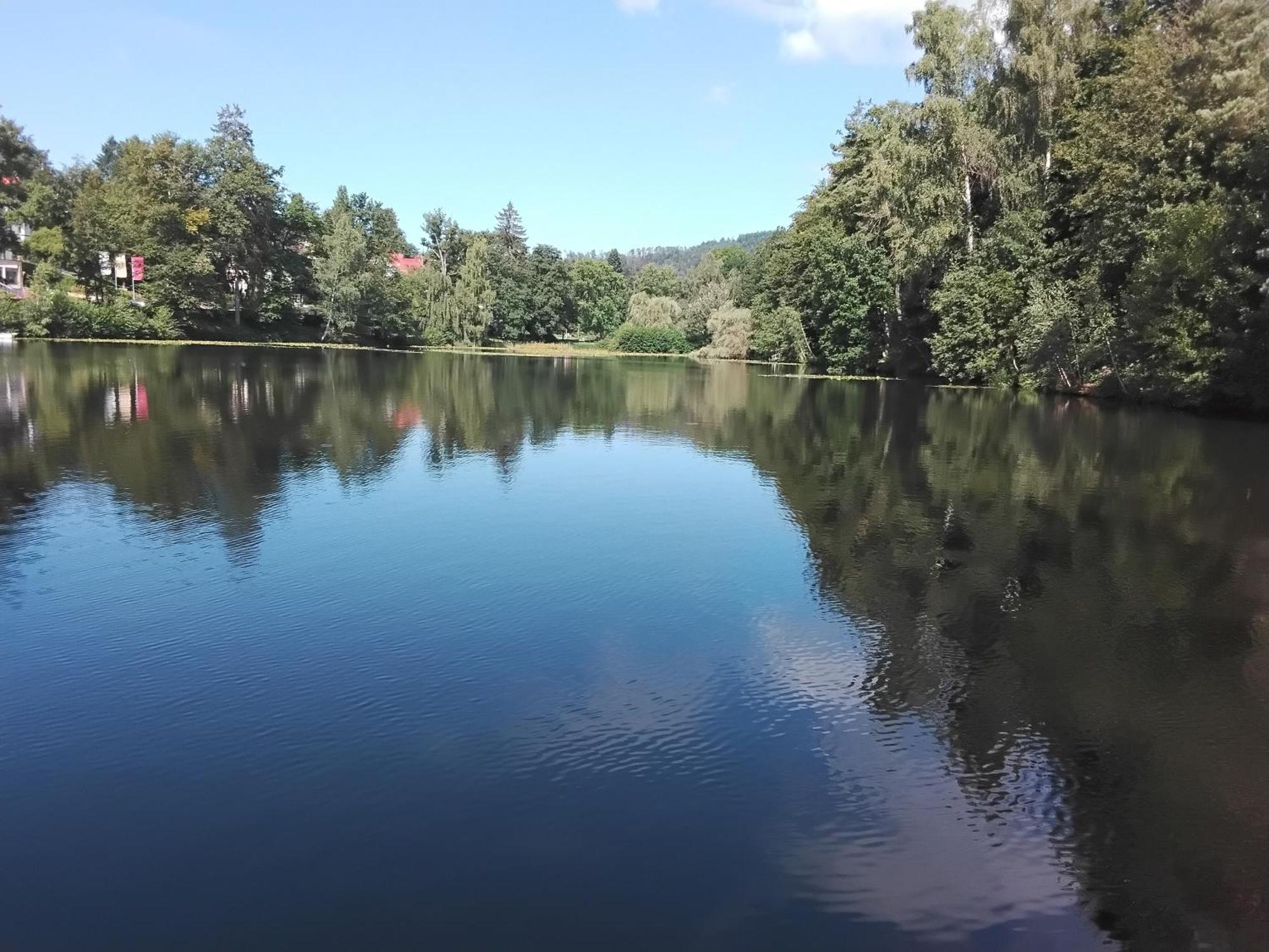 Hochwald Appartement Bad Sachsa Eksteriør billede