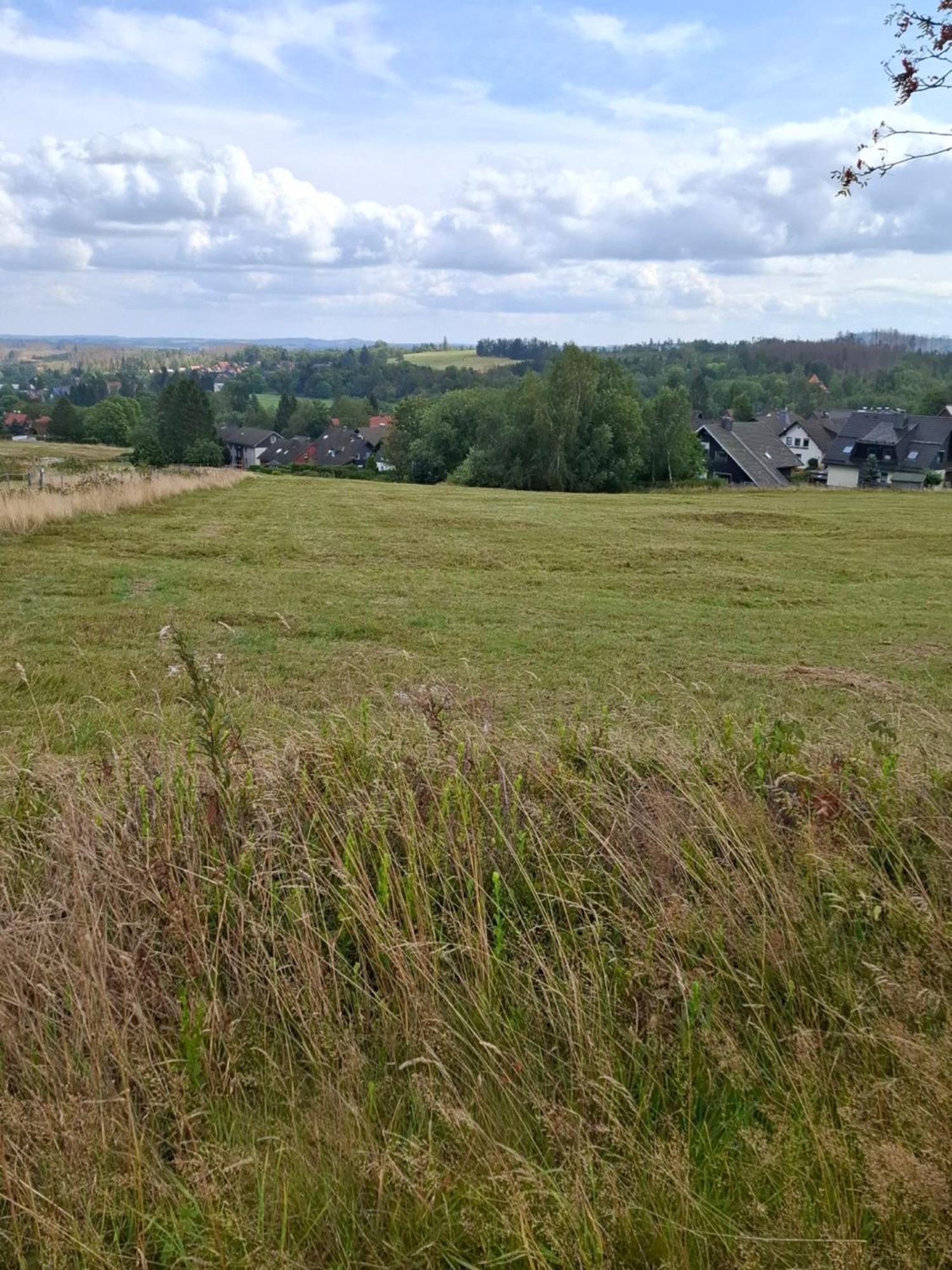 Hochwald Appartement Bad Sachsa Eksteriør billede