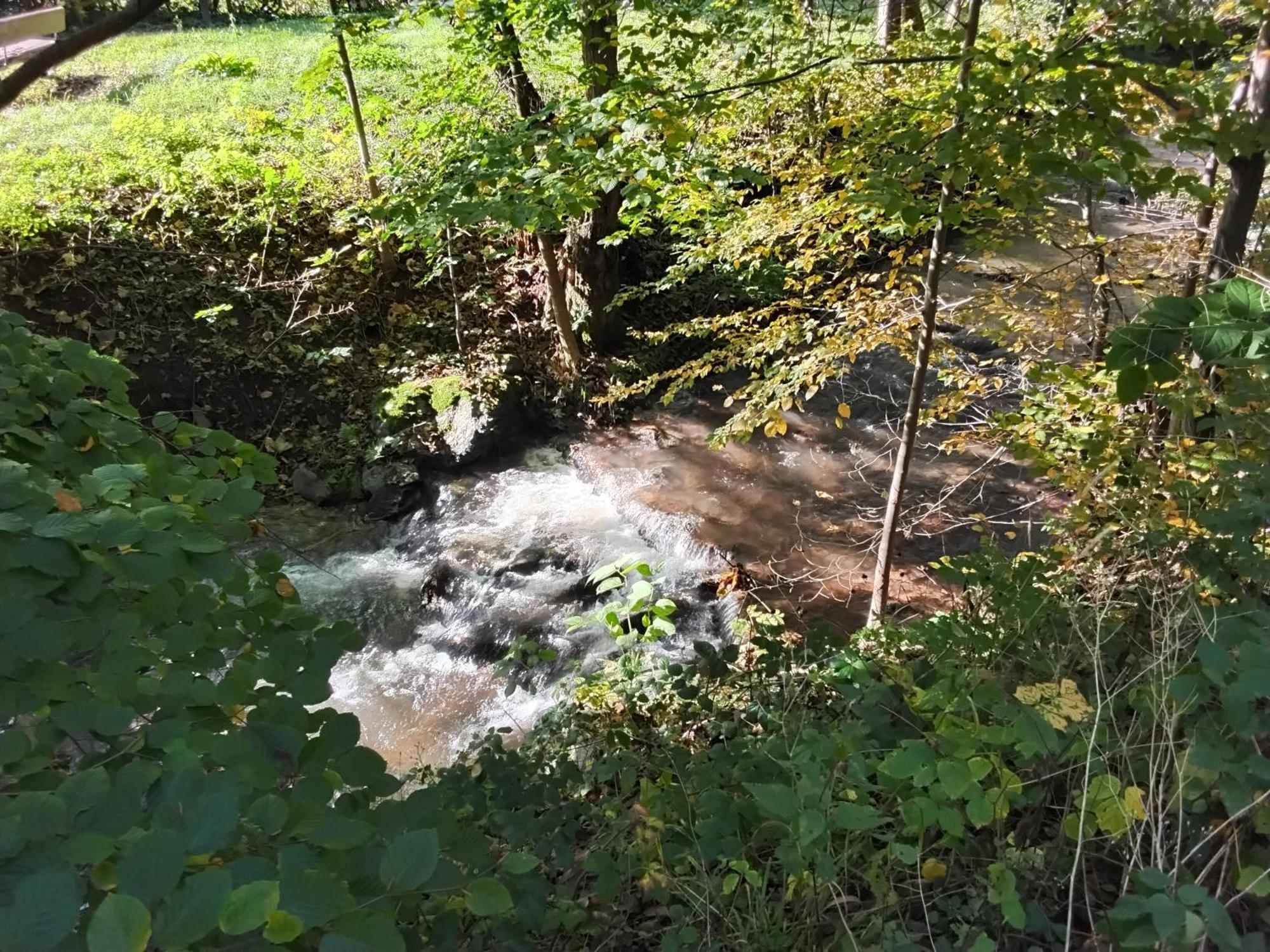 Hochwald Appartement Bad Sachsa Eksteriør billede